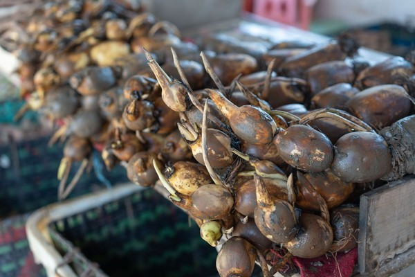 广州南沙最美风景区,南沙湾区超美风景线