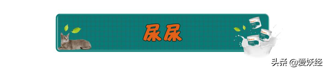 修正宠物羊奶粉测评,reddog红狗羊奶粉测评