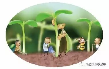 菜园虫虫学数学：种豆苗（植树问题）