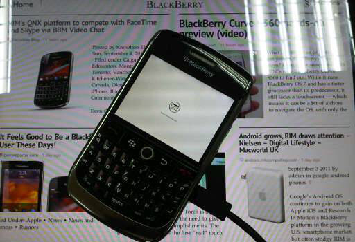 黑莓的一生,黑莓的一生简介