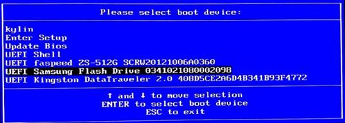 银河麒麟安装有道词典,银河麒麟系统安装软件
