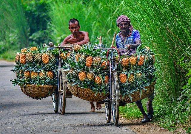 春天到了该吃的绿色食品,春季舌尖上的食物