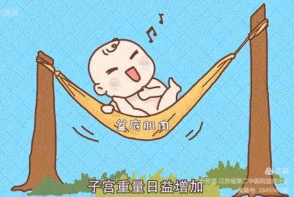 盆底康复要不要做,妇女盆底康复视频