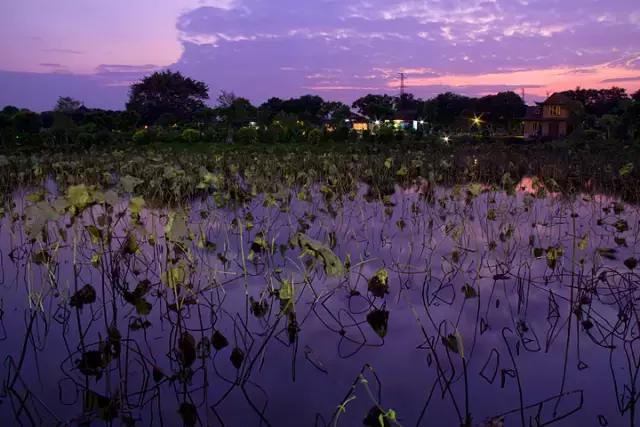 广州比较适合年轻人去的地方,广州最适合年轻人去的地方