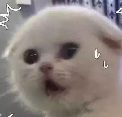 胎动总在小腹动怎么回事7个月,胎动时为什么一看肚子就不动了