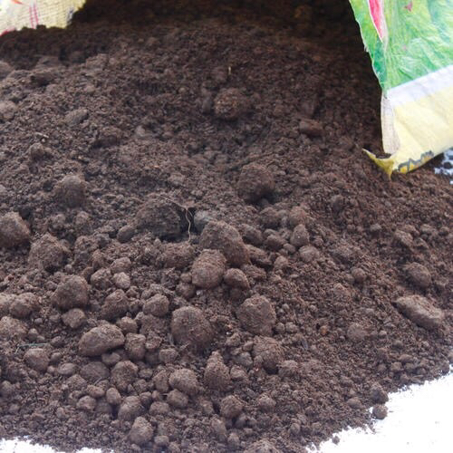 养花旧土怎样变营养土,想养花没有阳台怎么办