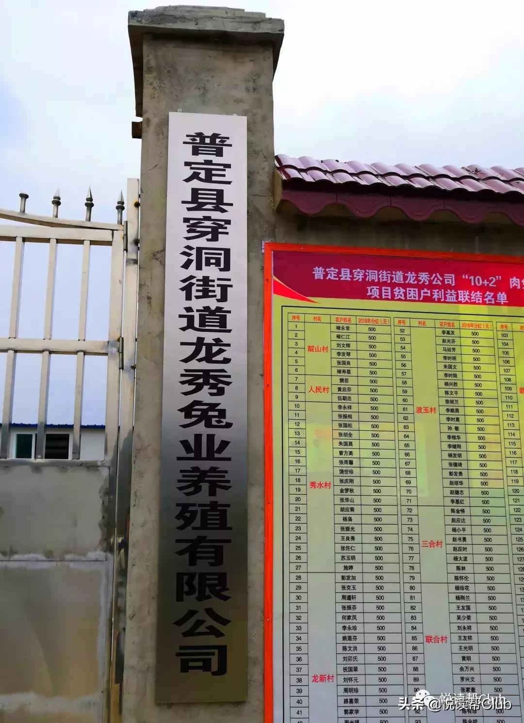 连成都人都赞不绝口的兔头空降安顺！这些兔兔还是安顺人自家养的