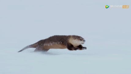 被吹爆的神片,被吹上天的神作