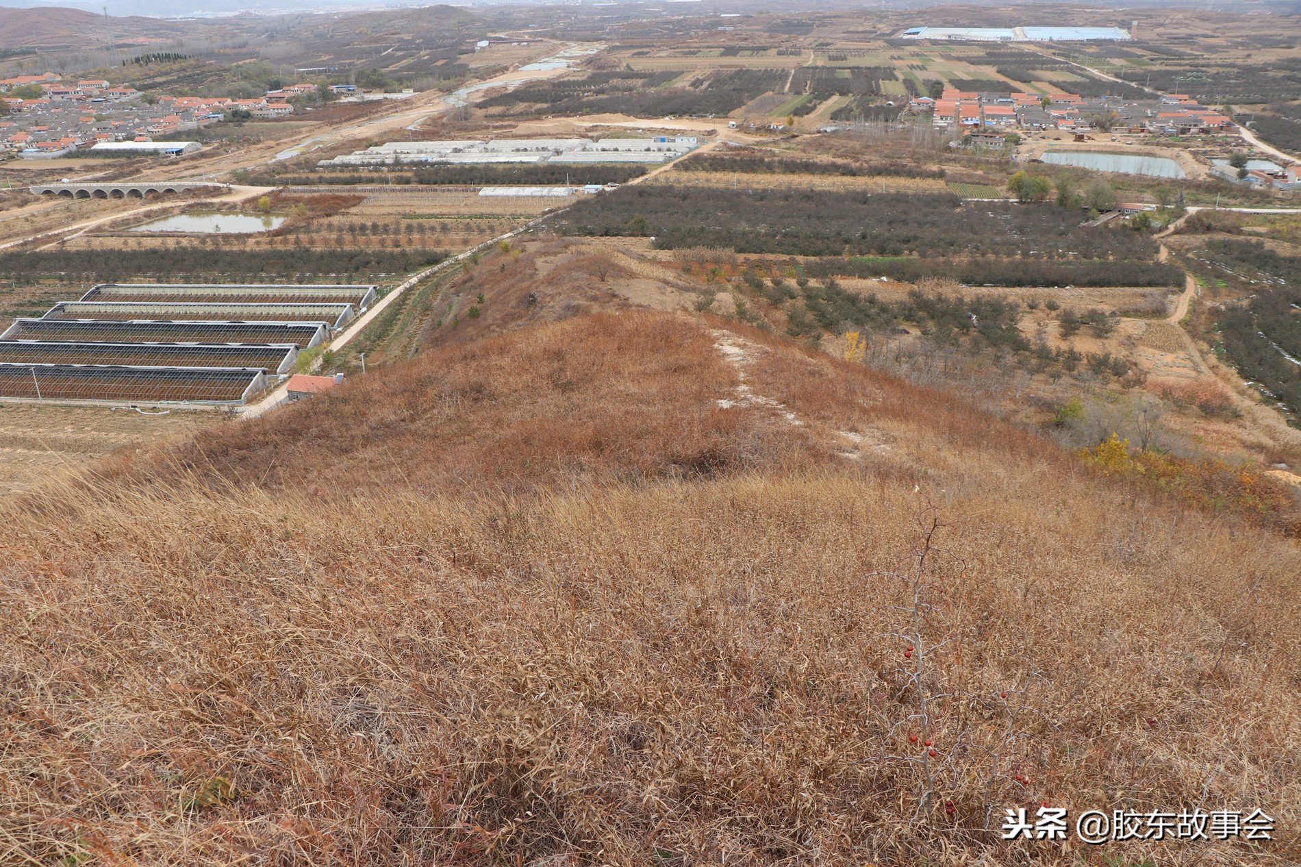 爬海阳的山,海阳哪座山最适合爬山