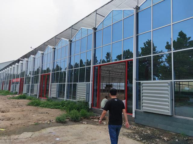 目前温室大棚的缺点,温室大棚如何发展