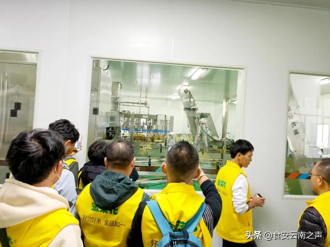 金丰汇聚，共创未来——2020“金菜花”营销精英训练营（第二期）圆满闭营