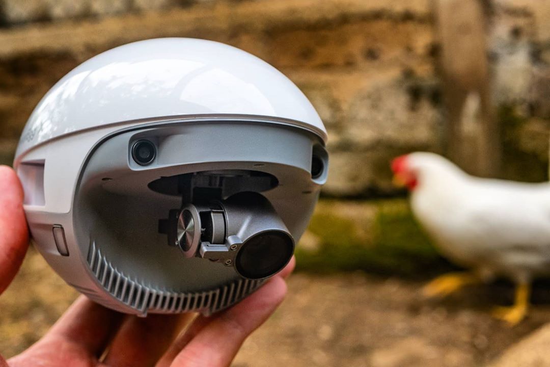 成熟男人应该买什么奢侈品,男人必备的十种奢侈品