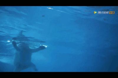 珠海一座美丽又浪漫的城市,体验珠海仁恒洲际酒店