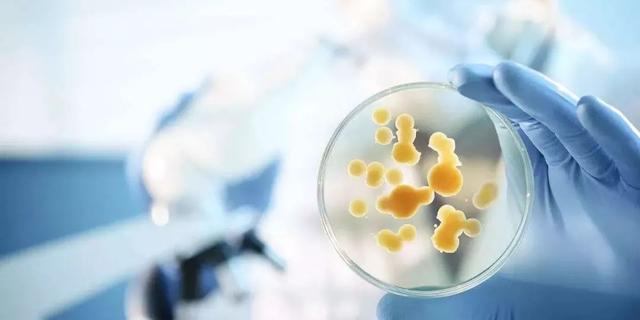 FDA鎸囧崡,鎸囧崡寮曢鍏变績鎴愰暱