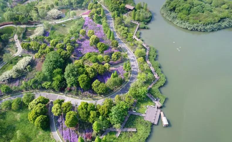 沙家浜景区医护人员免费吗,沙家浜风景区免费开放怎么预约的