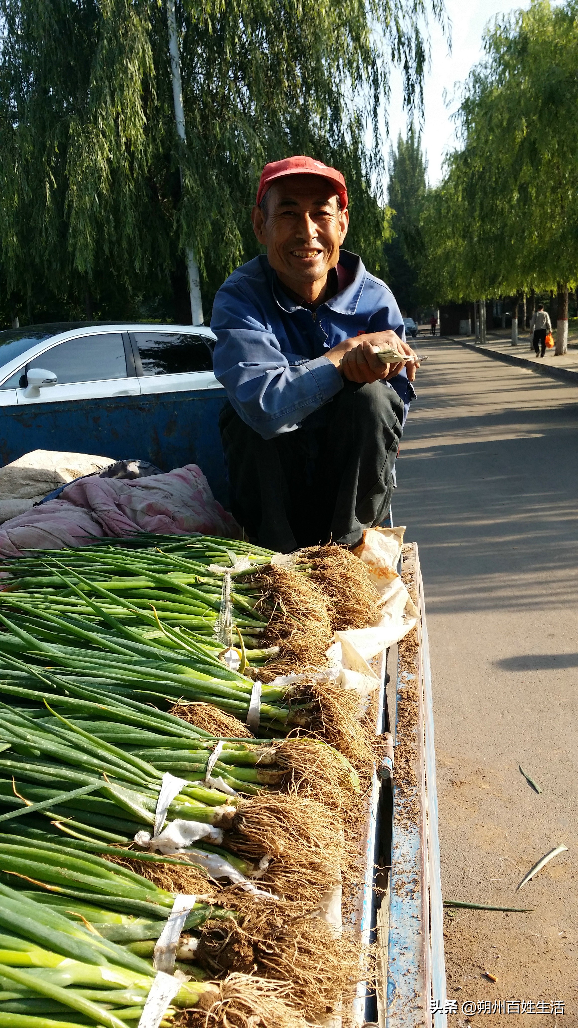 朔州：张耀元宅家随笔五则