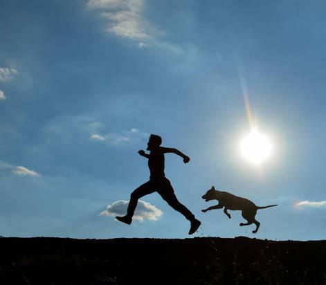 恐惧症完整版视频,恐惧症最新视频