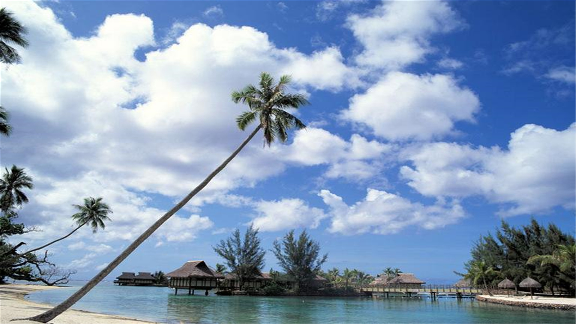 海南3所中学厉害了！被清华看中，评为“优质生源基地”