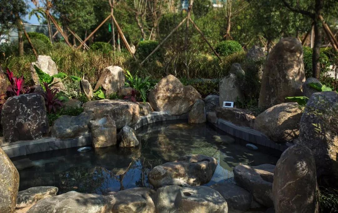 占地9000英亩豪宅,深圳占地9000平方最大别墅