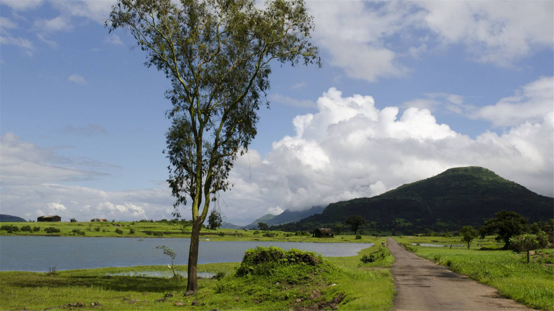 蓝色护眼壁纸唯美图片,最美的护眼桌面壁纸