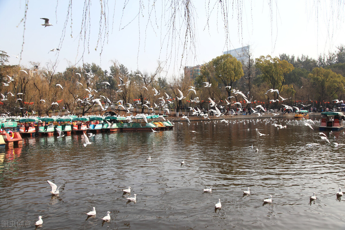 昆明市内游玩好去处 (云南昆明最值得玩的地方)