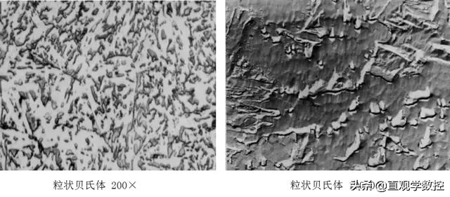 金相如何分辨奥氏体和铁素体,马氏体奥氏体金相