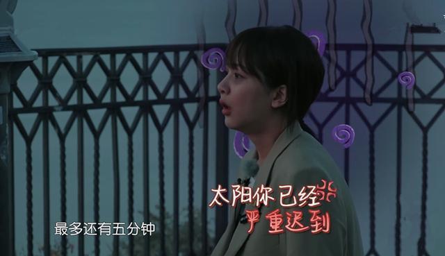 张一山友情加盟《中餐厅》？！出场方式很另类