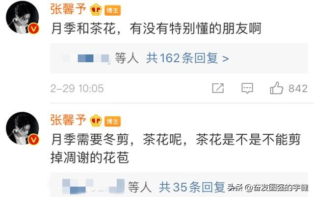 张馨予不做饭改种花了，老公何捷帮不上忙，只好线上求助网友