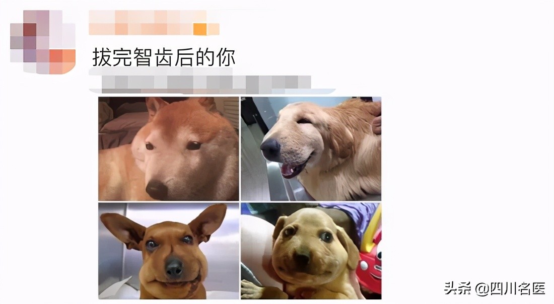 智齿一次拔几颗比较好,智齿到底要不要拔掉一个视频