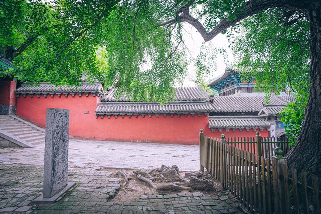 少林寺值得去看的原因有哪些,少林寺在哪个景区
