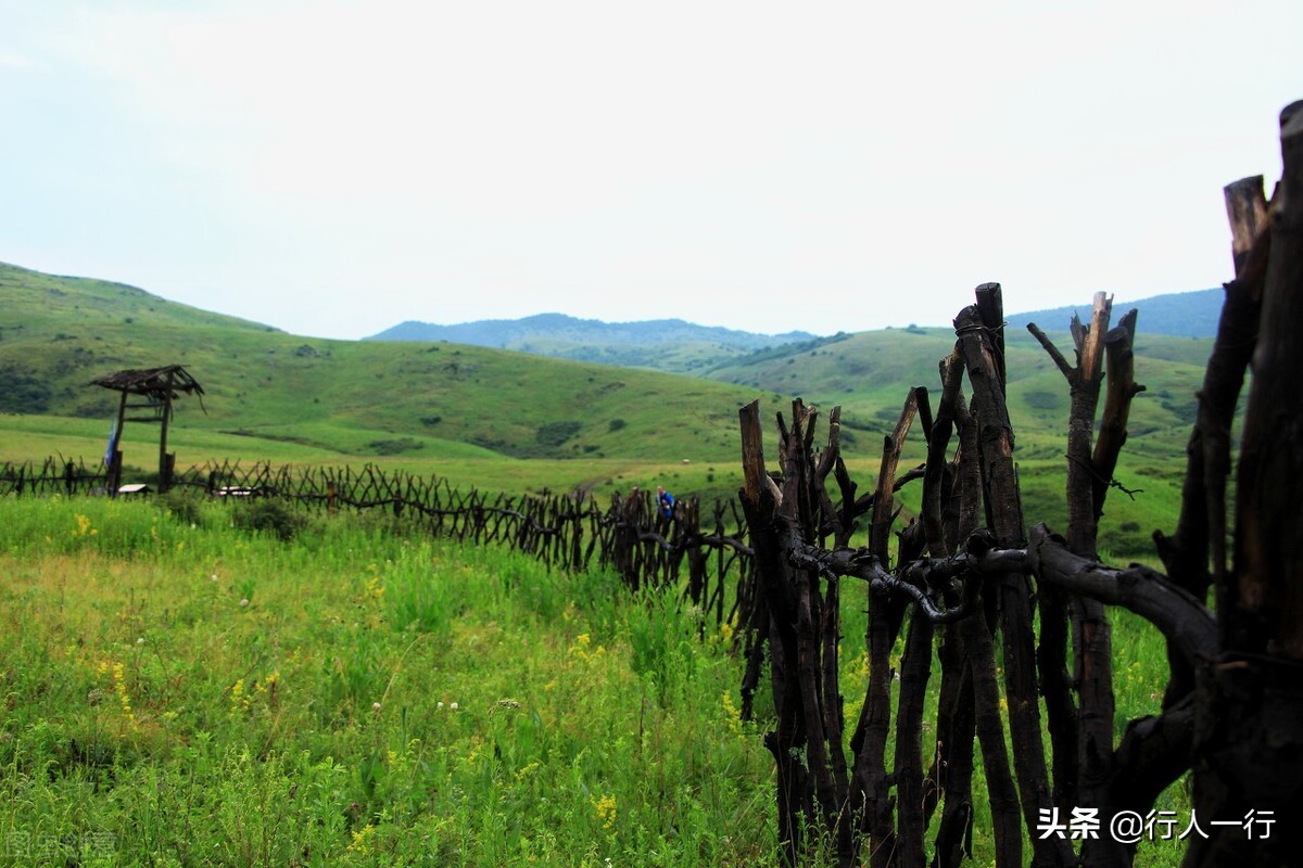华北最大的亚高山草甸圣王坪,华北最大的亚高山草甸