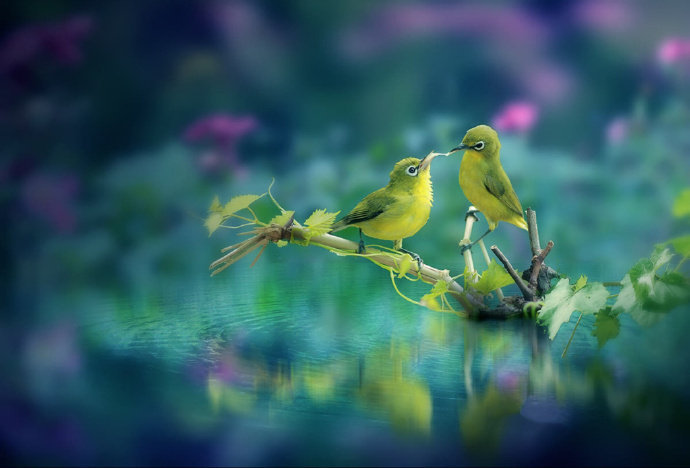 苏东坡趣闻全集,苏东坡趣闻趣事