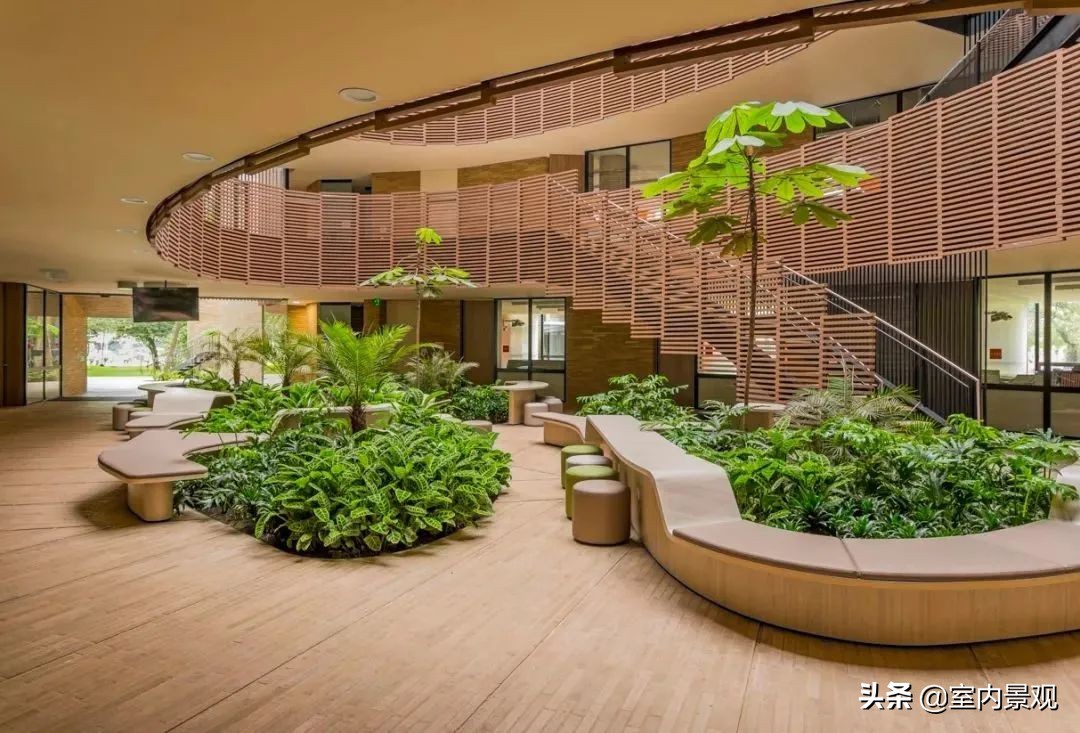 小小庭院美到极致,富有禅意的中国式庭院