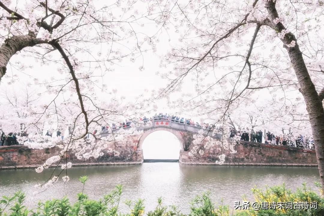 寒食古诗诗意100字,寒食节必读十首诗词