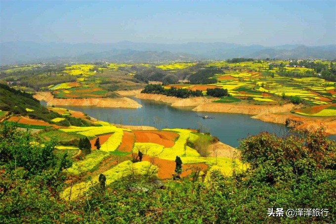 中国最美油菜花海汉中,中国最美油菜花海排名