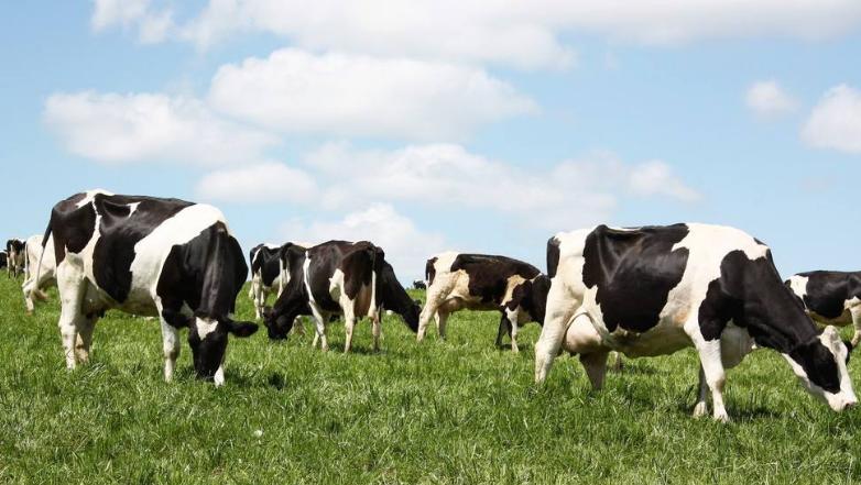 奶粉dha排行榜前十名婴幼儿,一段奶粉dha排行榜