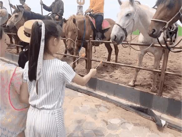 暑假带孩子内蒙古旅游攻略,暑期内蒙古亲子游鄂尔多斯