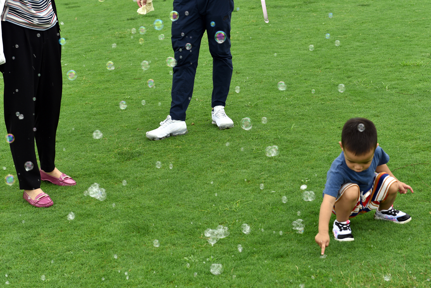 昆明薰衣草花海,昆明紫色花海旅游攻略