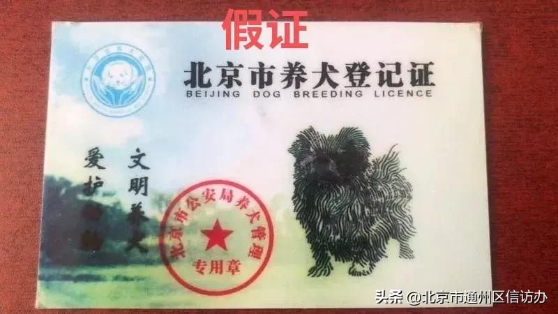 网上办犬证需要钱吗,办狗证中介北京