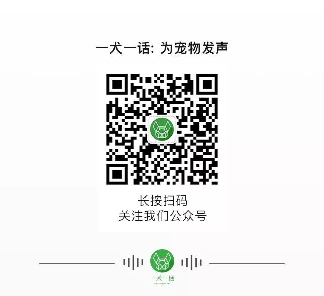 一心|猫能改善你的抑郁症吗？