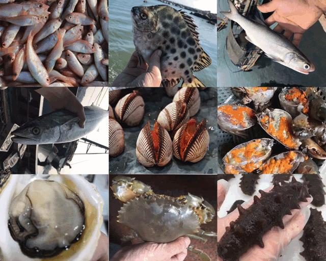 猪肉海鲜饺子馅的做法大全,海鲜饺子馅配方大全