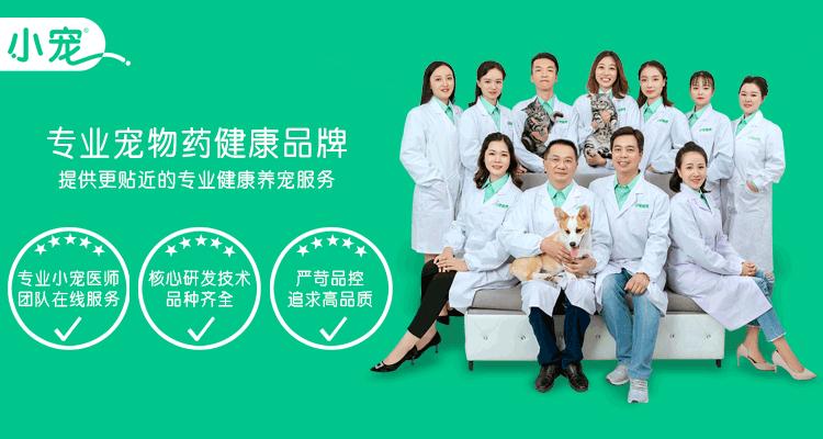 传说中的哮天犬是什么品种,哮天犬原型为中国细犬