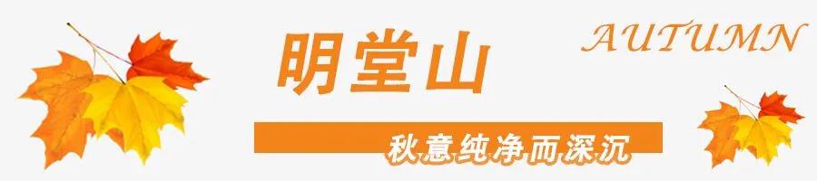 黄山秋景几月去最好,秋天几月份去黄山最好看的花海