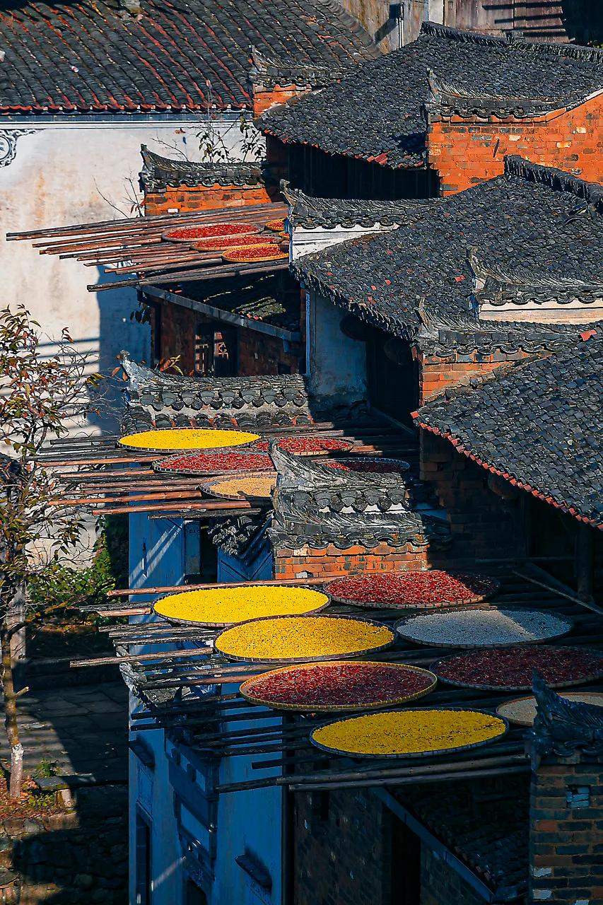 这才是中国最美的乡村,最值得去的鲜花小镇