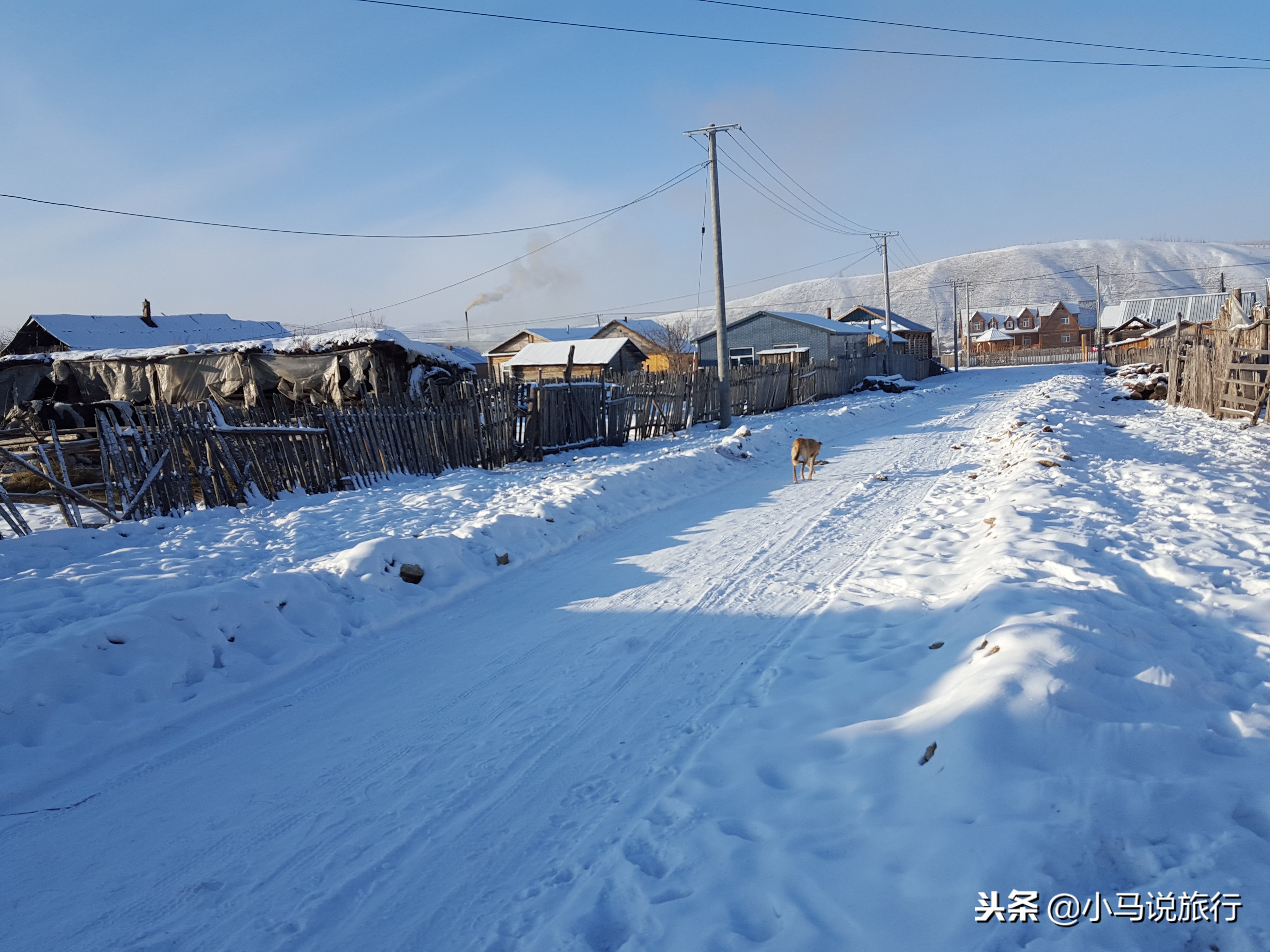 东北零下40度买雪糕,东北零下30度买雪糕