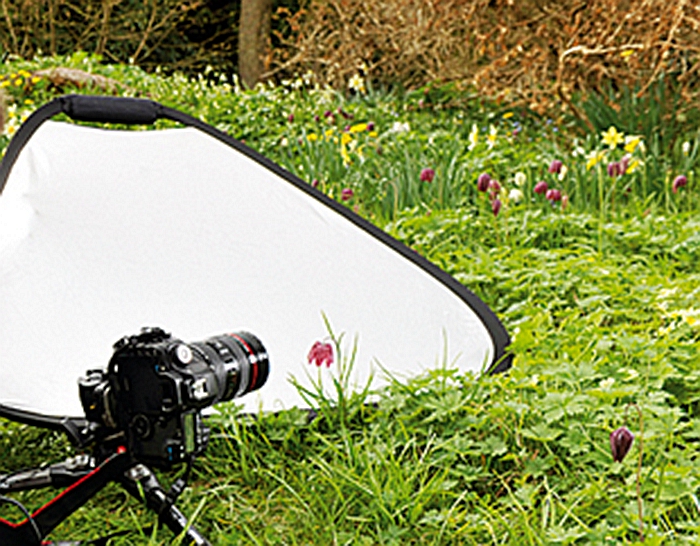 摄影大师拍摄花卉技巧,各种花的拍摄设备有哪些
