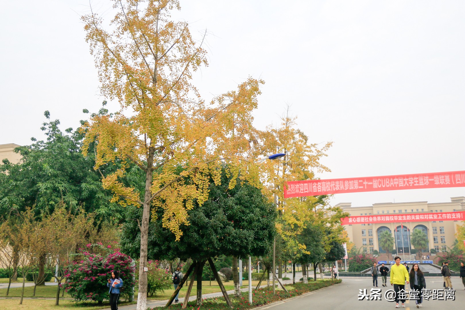 成都文理学院出来怎么样,成都文理学院金堂是本科吗