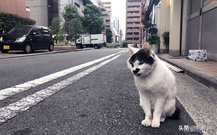 游戏中场景还原,人中之龙7横滨迷宫刷经验