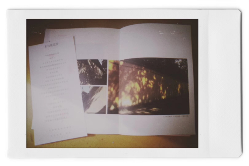 光影斑驳旧照片,斑驳的树影是时光的印记