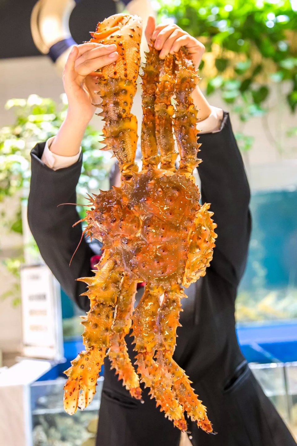 航母海鲜自助,陆家嘴自助帝王蟹